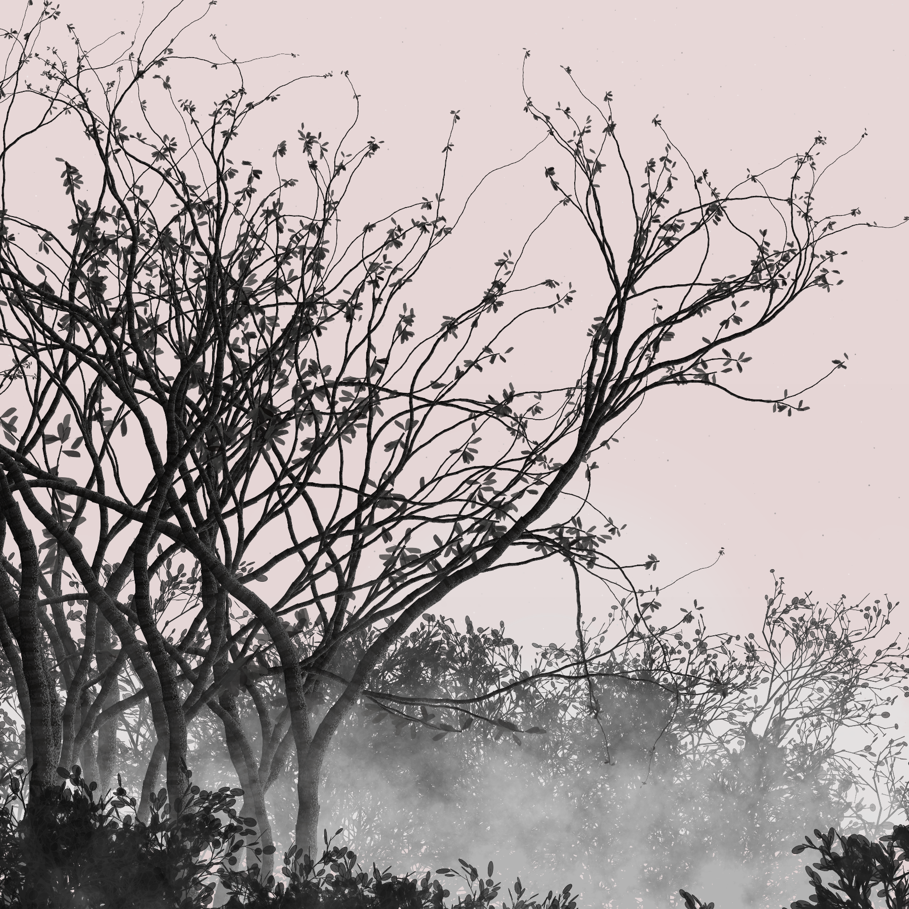 Morning Mist #36 static token preview