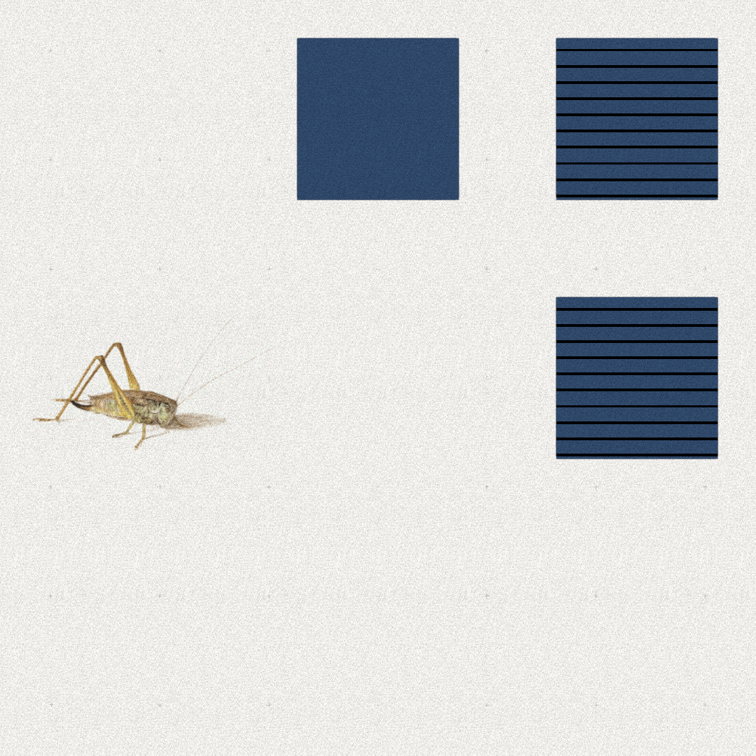 Grasshopper #55 static token preview