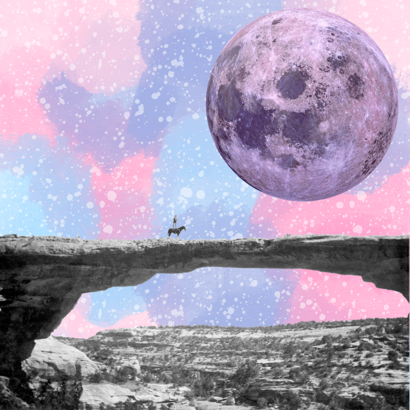 Pink Moon #5 static token preview