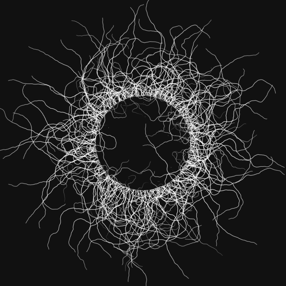 Wormhole #13 static token preview