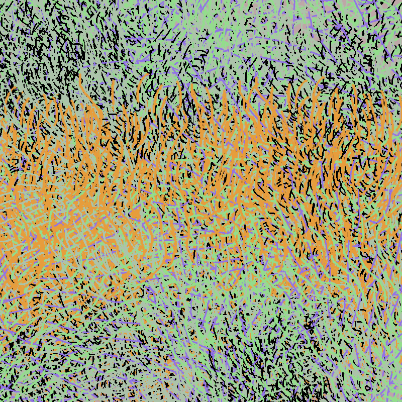 a bird worked on my painting #24 static token preview