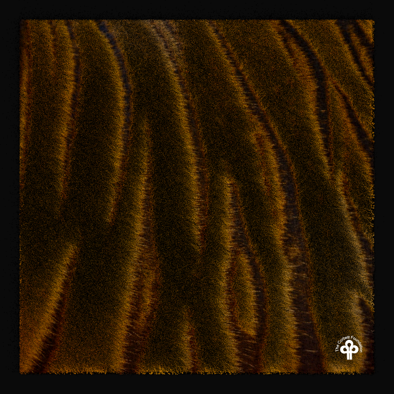 (re)generative tigers #5 static token preview