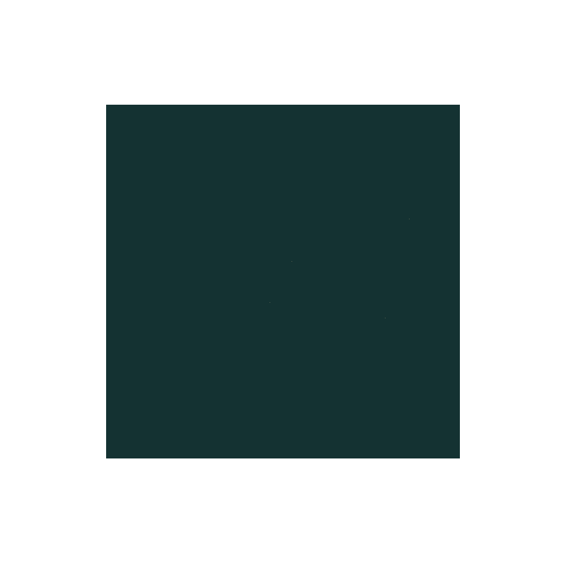 Anion #11 static token preview
