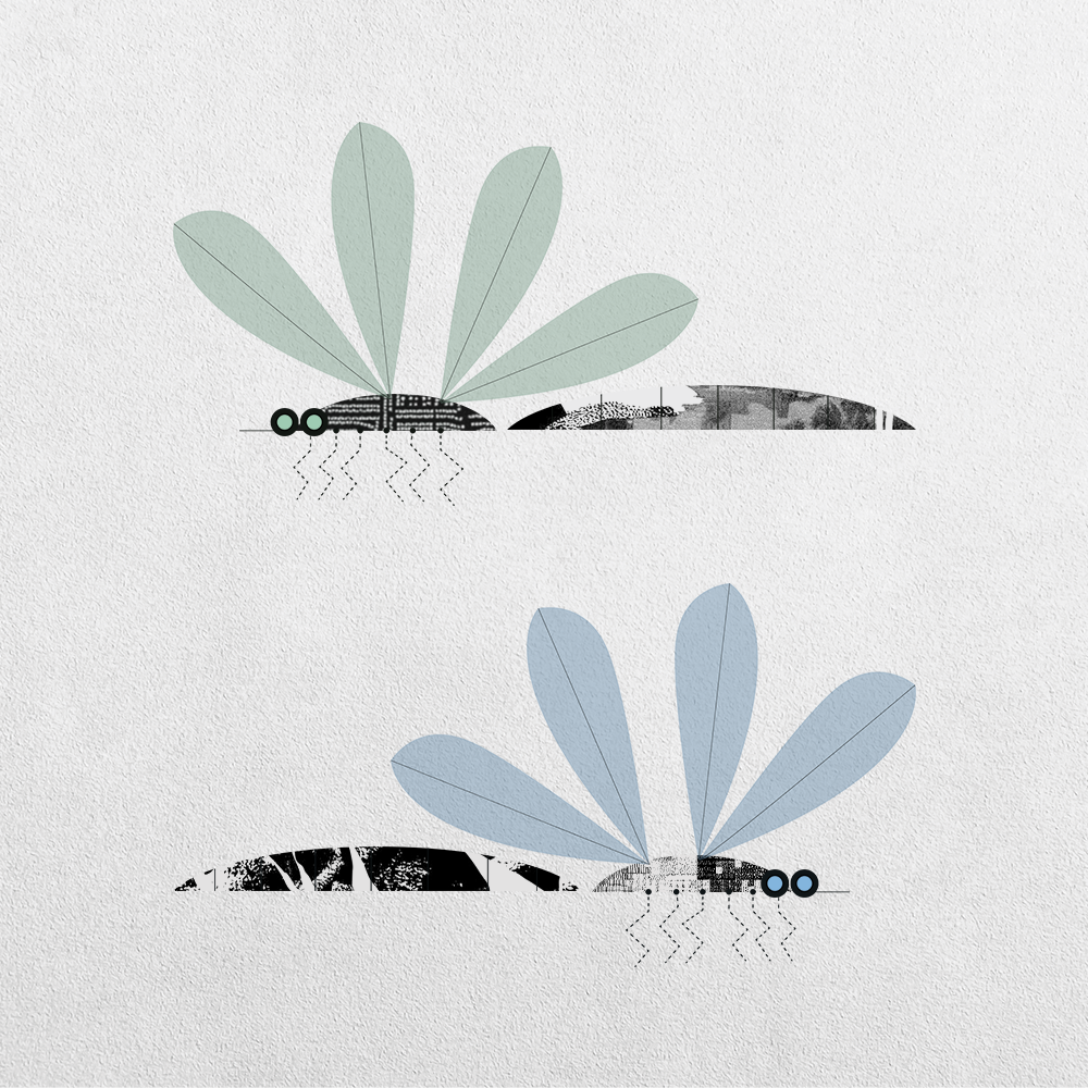Mosquito Abstraction #1 static token preview