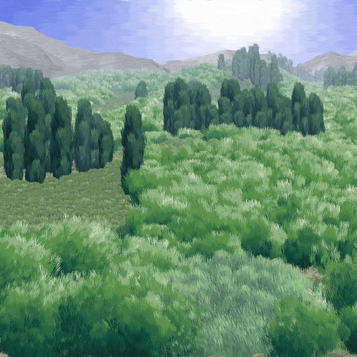 Provence #12 static token preview