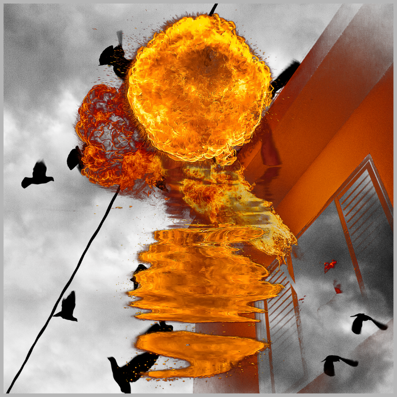 Free to burn #5 static token preview