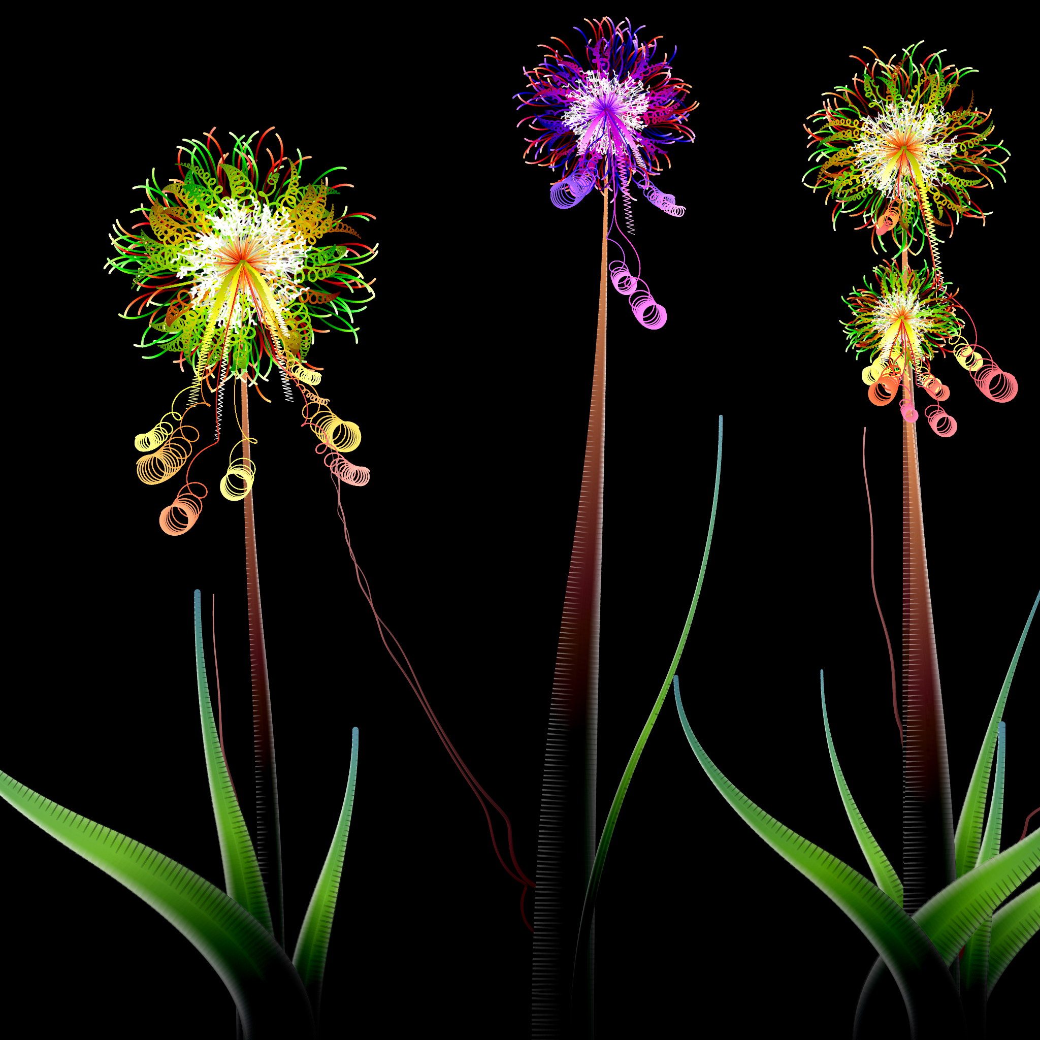 Milena’s Flowers #12 static token preview