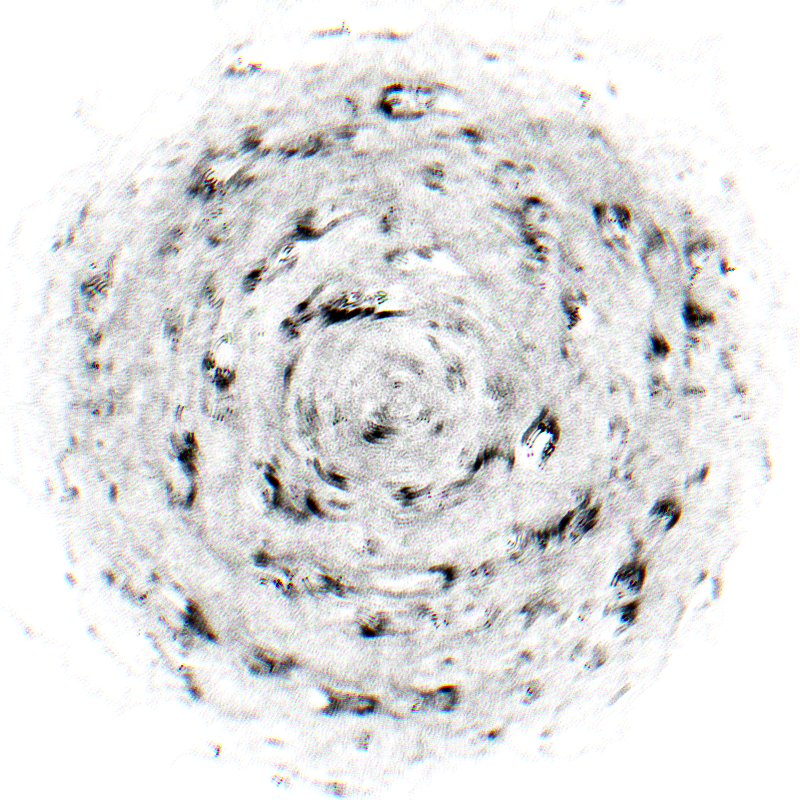 Noisy Circles #19 static token preview