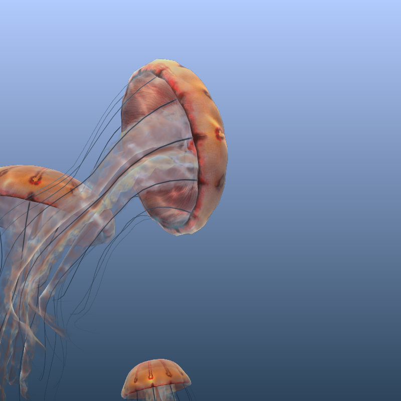 Jellyfish #8 static token preview