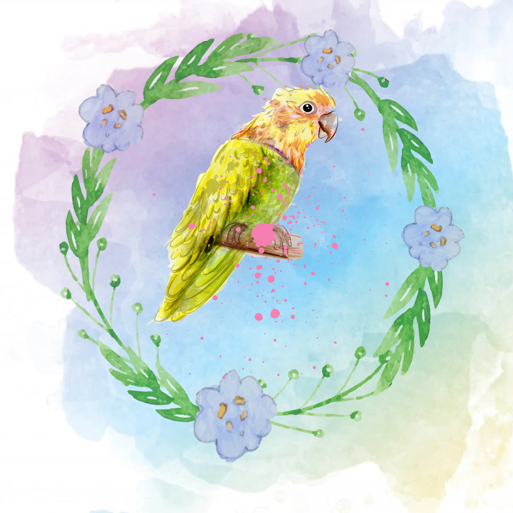 Random Tropical Birds #12 static token preview