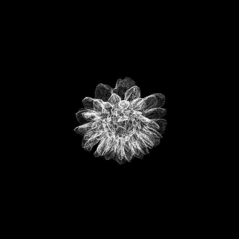 Dahlia Pinnata 30 #5 static token preview