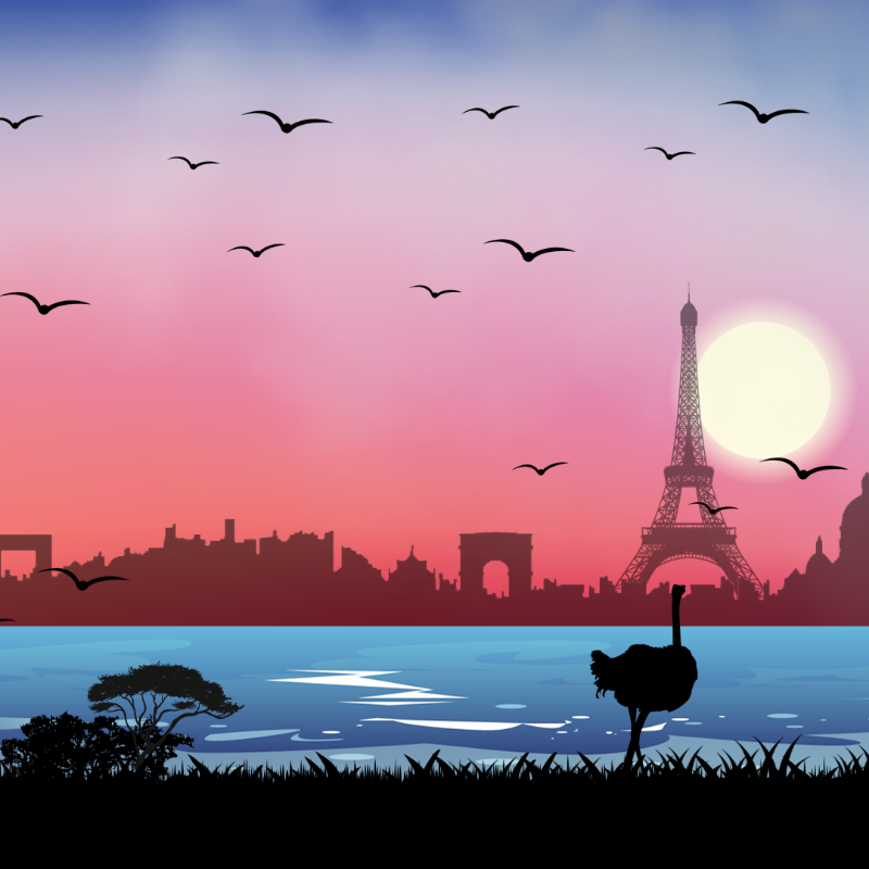 We Care...Ostrich #4 static token preview
