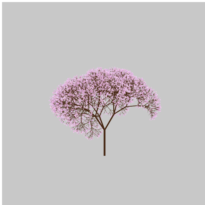 CandyTree #16 static token preview