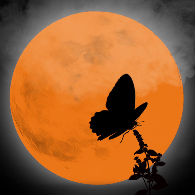 We Care...Butterfly #13 static token preview