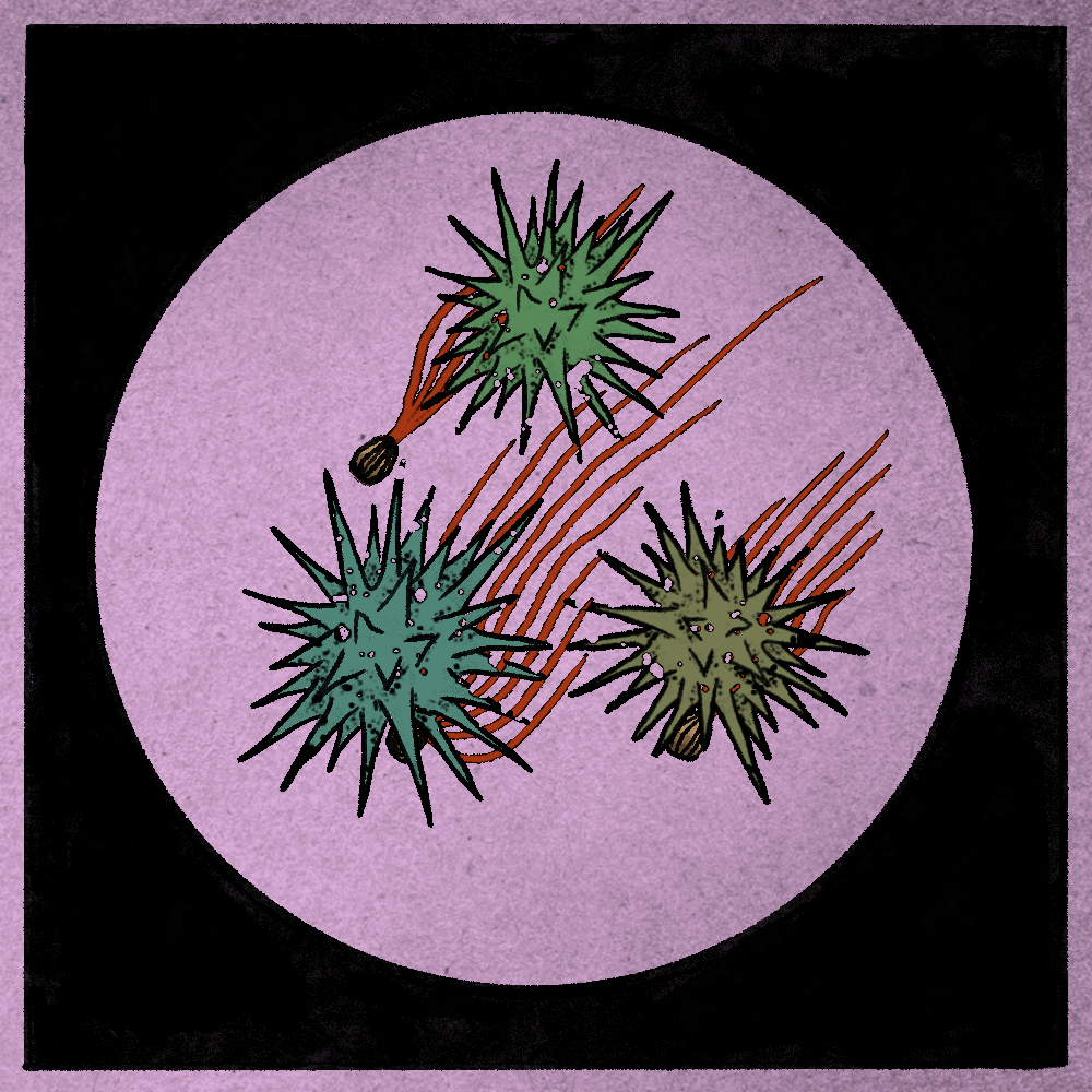 Microbes #226 static token preview