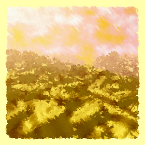Painting Lessons project preview