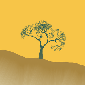 One tree project preview