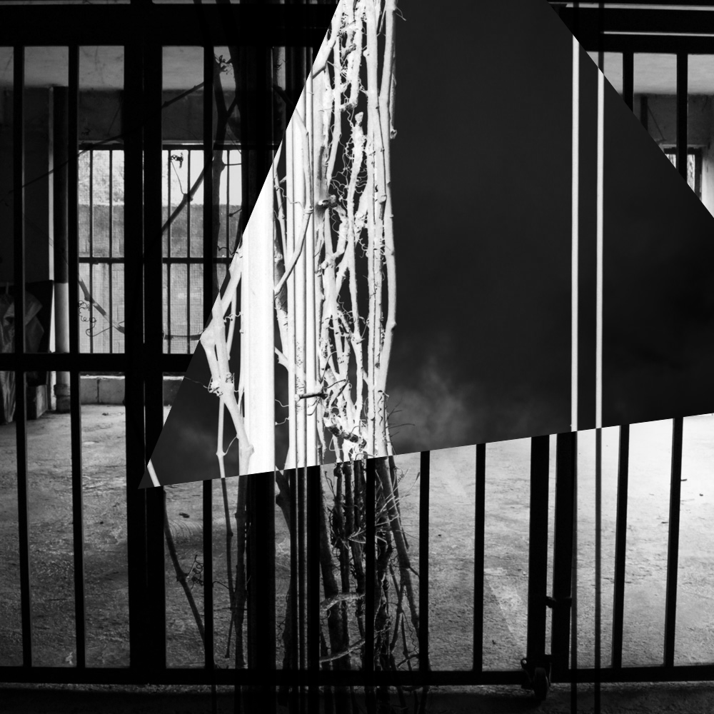 Subjective photography #1 #9 static token preview