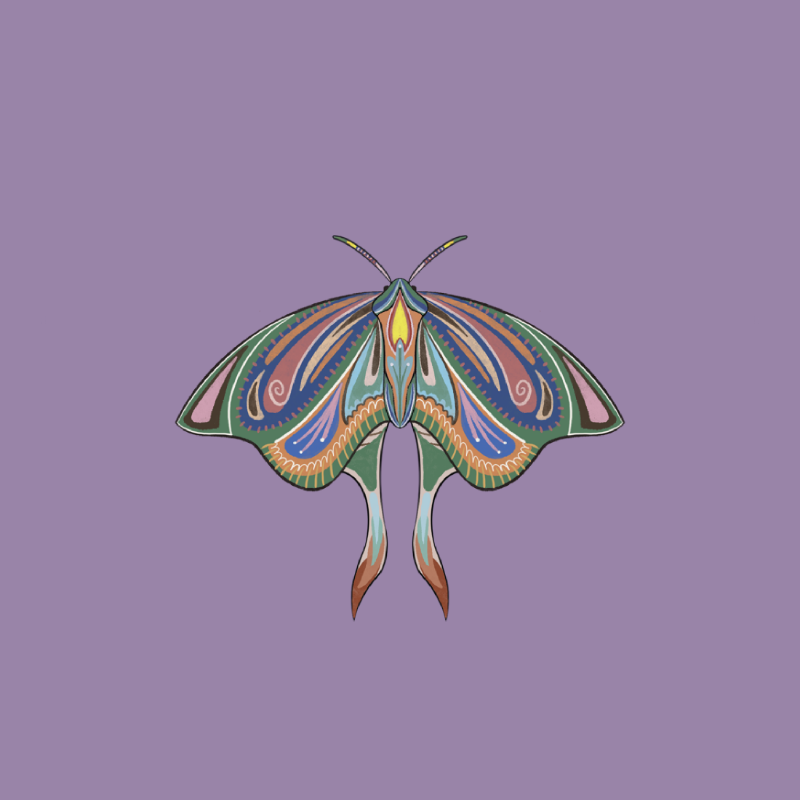 The Moth Experiment 2.0 P2 #21 static token preview