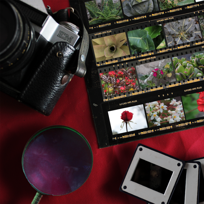 Contact Sheet #18 static token preview
