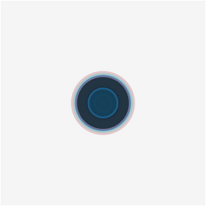 Concentrically Concentric project preview