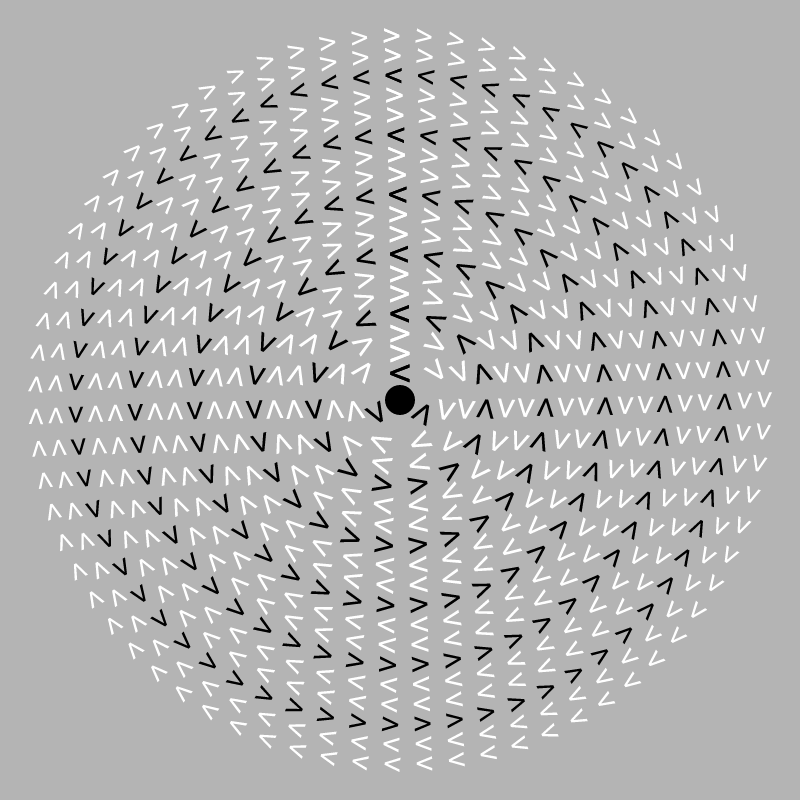 Dizzy Wheel #12 static token preview