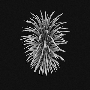 plant project preview