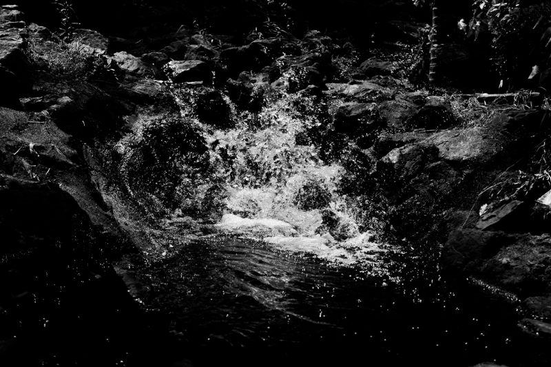 chasing waterfalls #21 static token preview