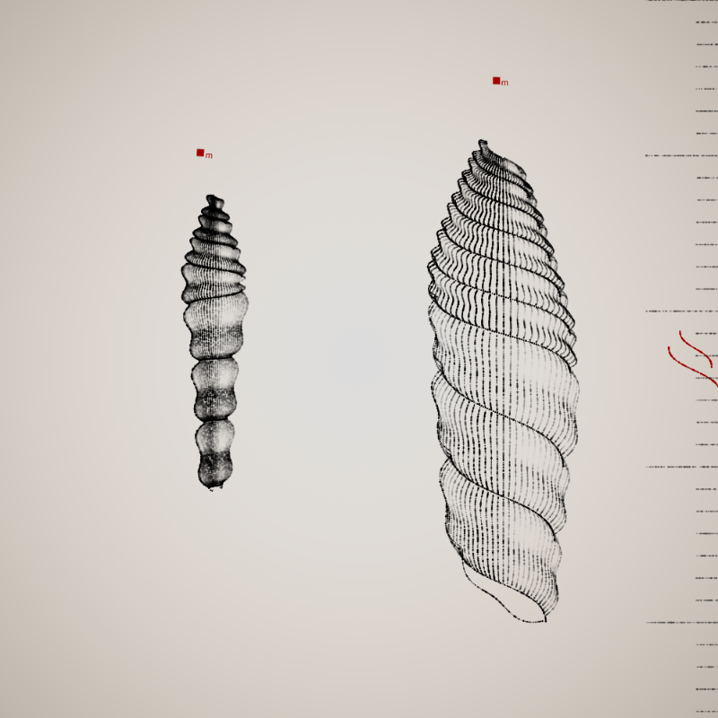 Two Specimen #17 static token preview
