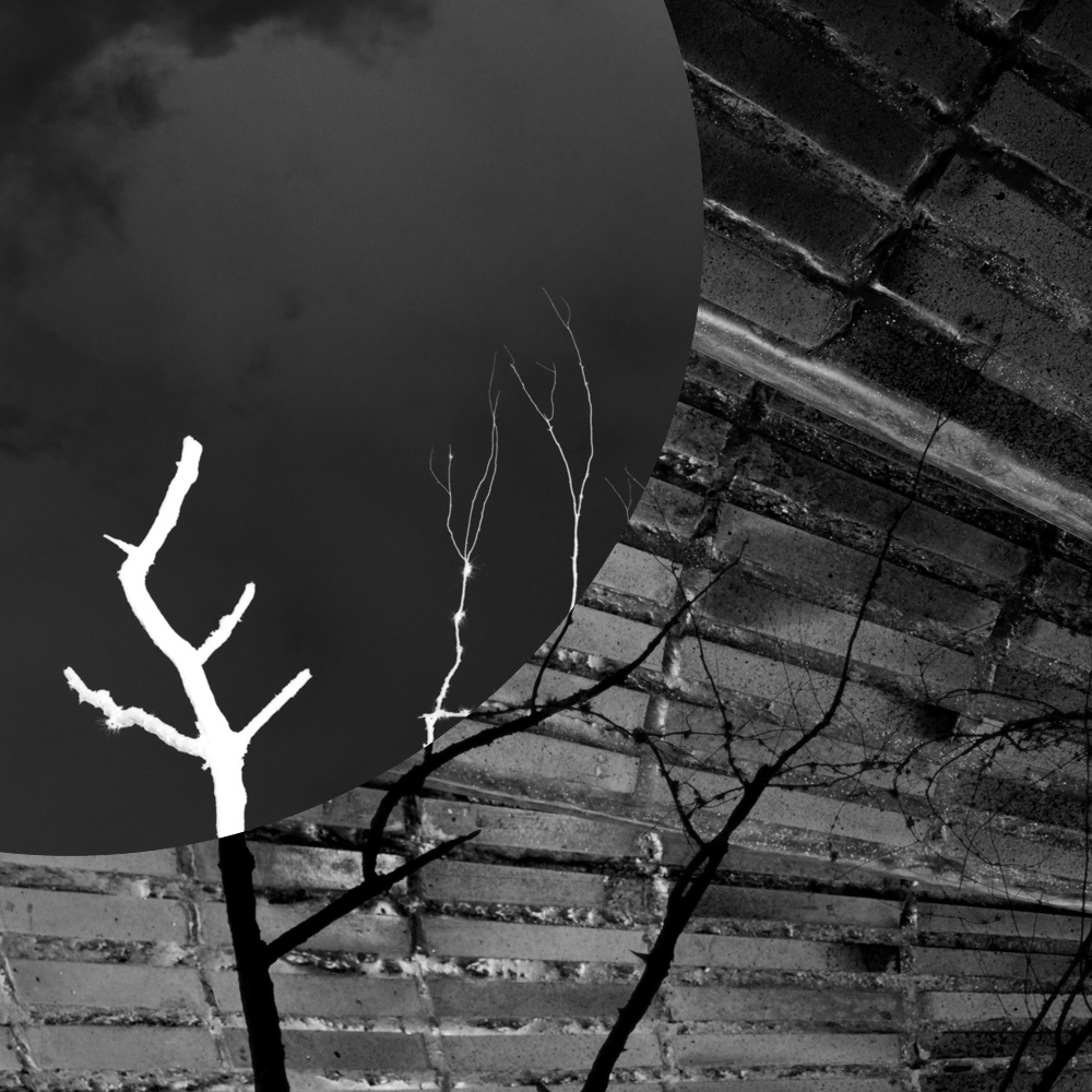 Subjective photography #1 #16 static token preview