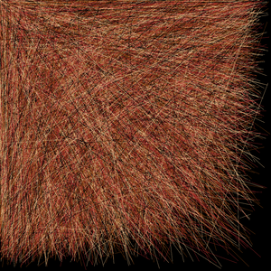 Spun Lines project preview