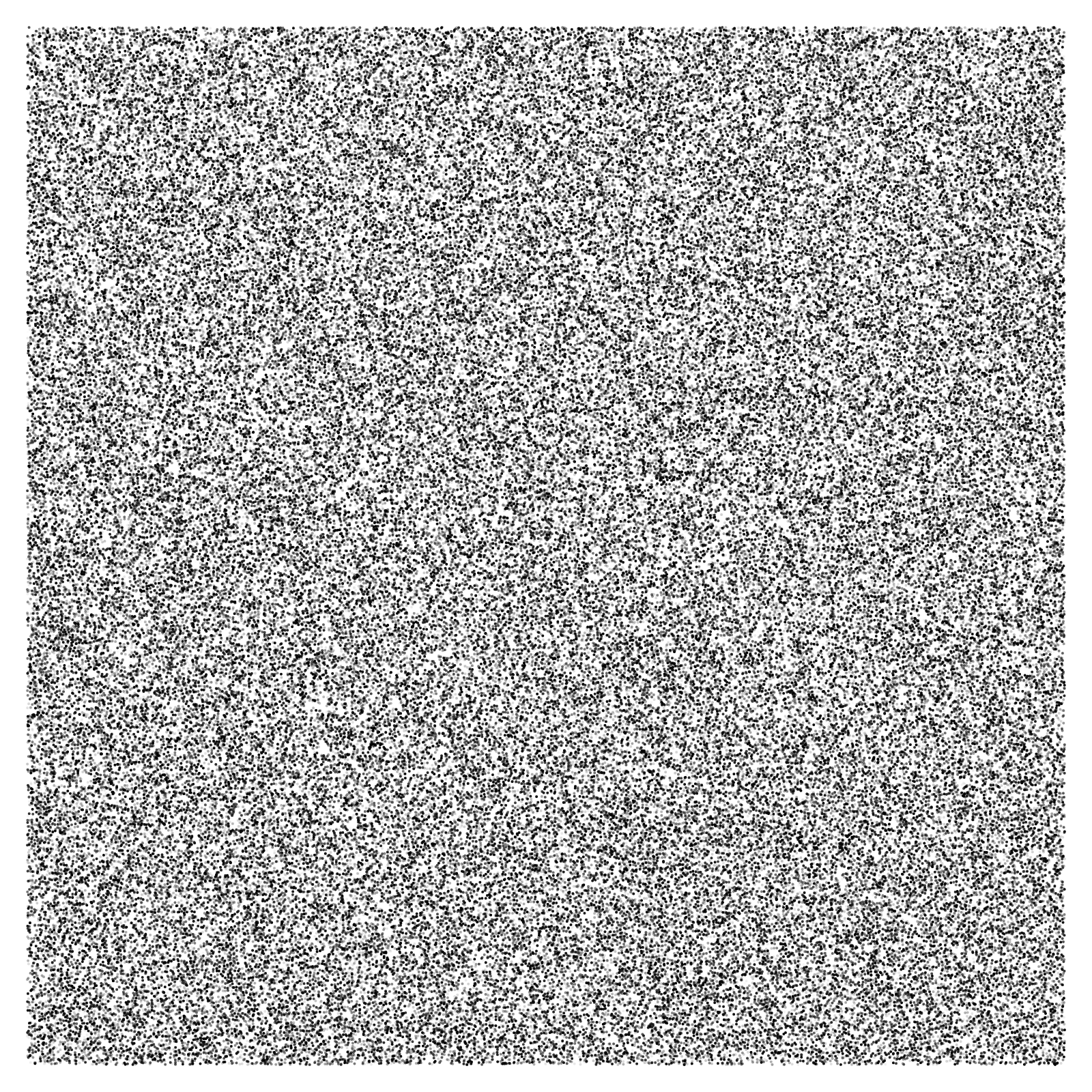 Noise #24 static token preview