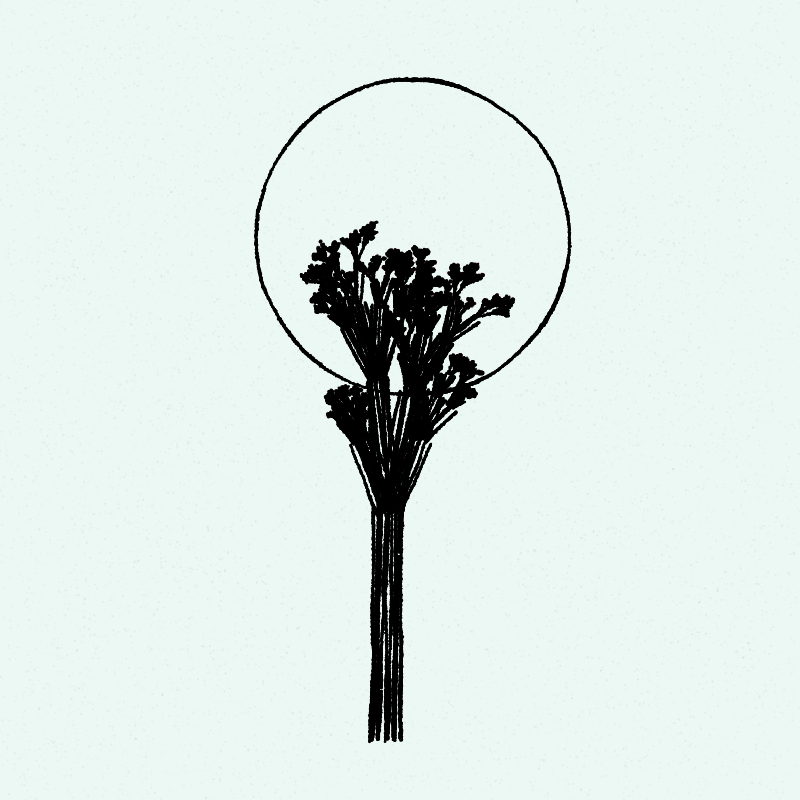 Hand-Drawn Tree #14 static token preview