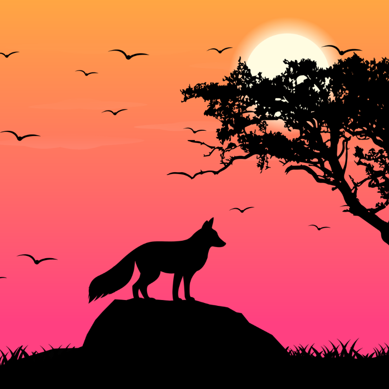 We Care...Fox #6 static token preview