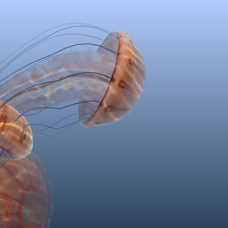 Jellyfish #6 static token preview