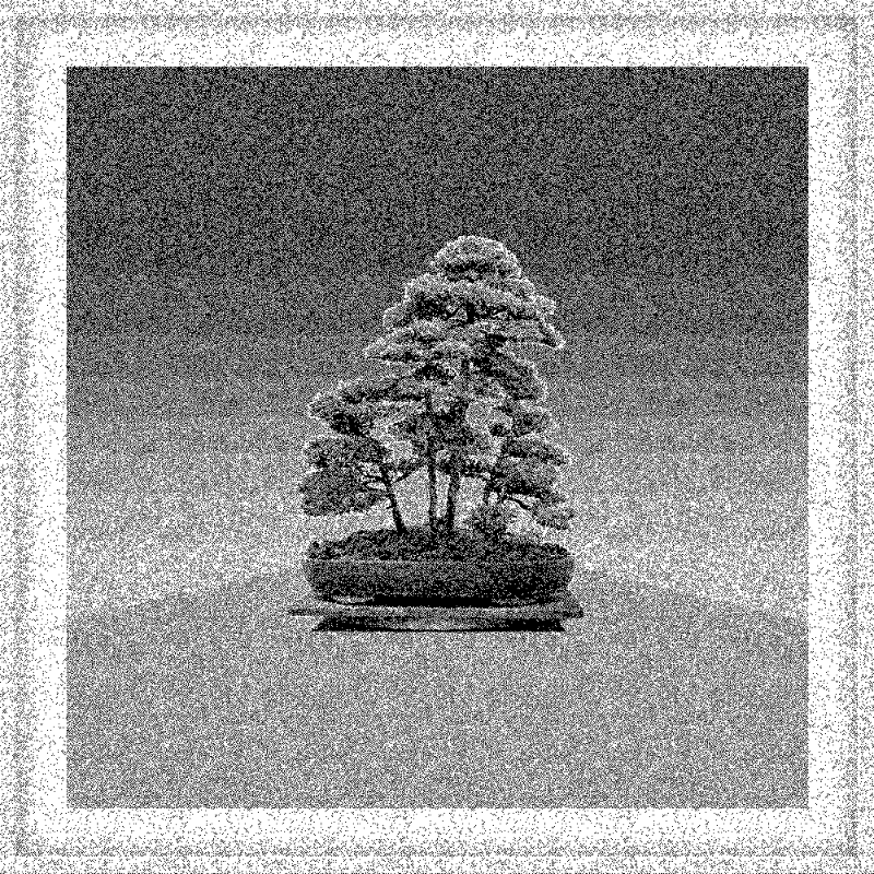 Bonsai Bonanza #19 static token preview