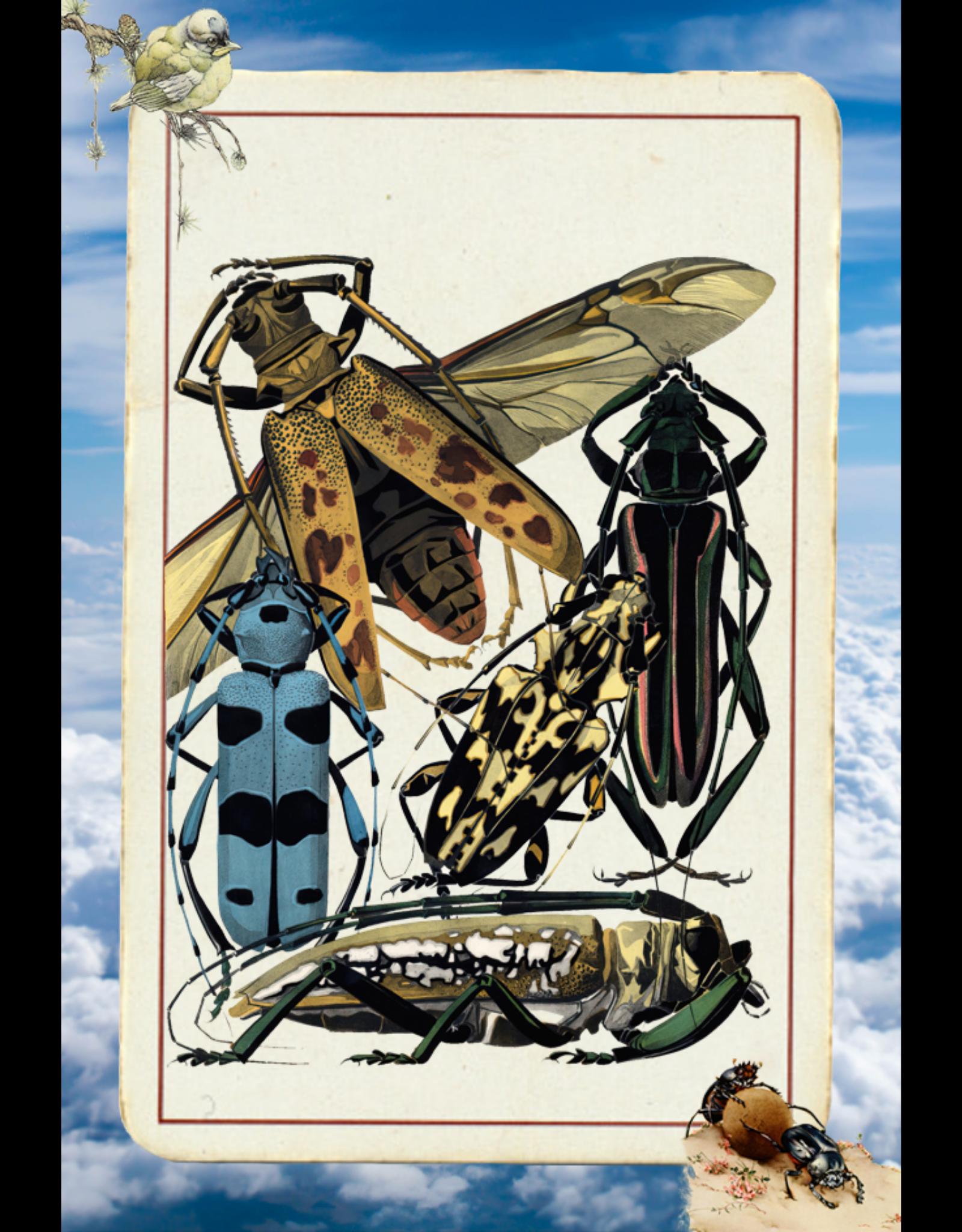 Paper Bugs #6 static token preview