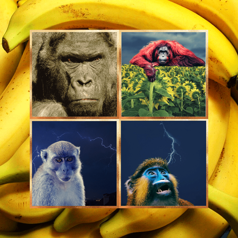 Banana legends #10 static token preview