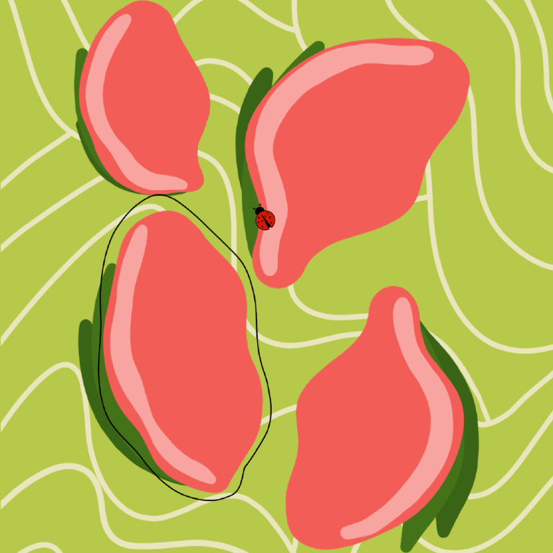 Sweet Summer #4 static token preview