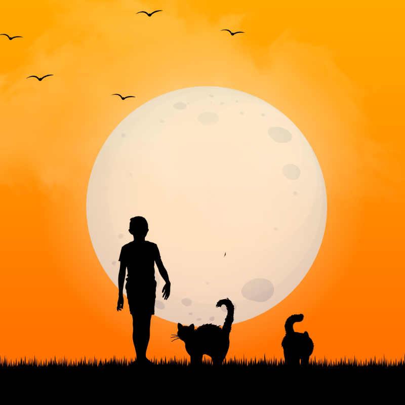 We Care...Cat #14 static token preview