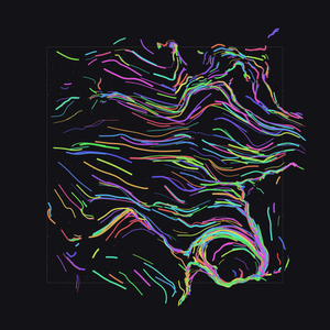 Neon project preview