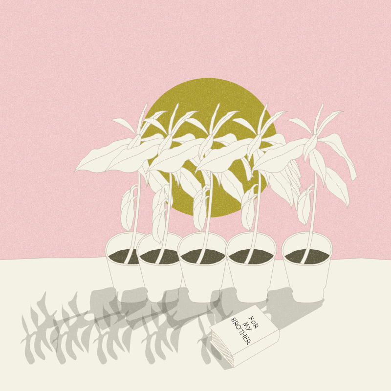 Still Life #12 #5 static token preview