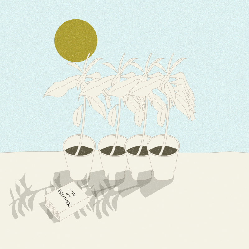 Still Life #12 #15 static token preview