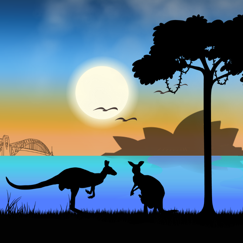 We Care...Kangaroo #5 static token preview