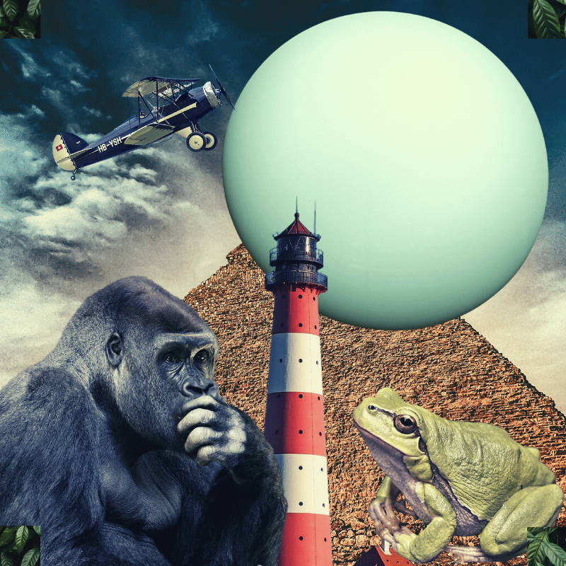 Banana & Pepe on mysterious trips #6 static token preview