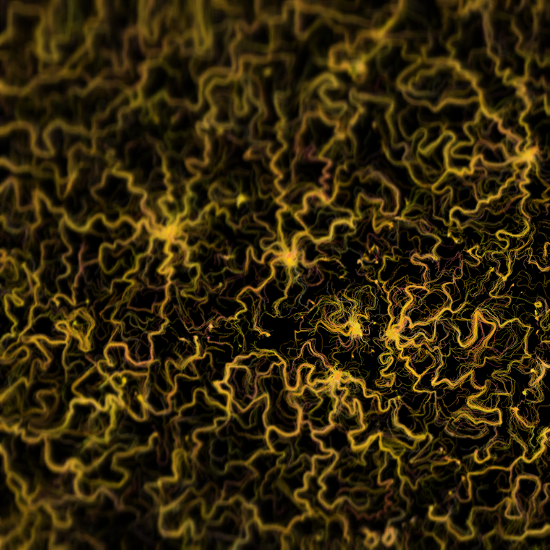 Field Sketch #14 static token preview