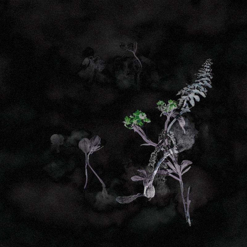 Hauntological Herbarium #9 static token preview