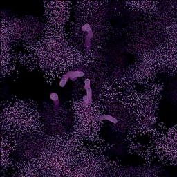 Cave Friends project preview