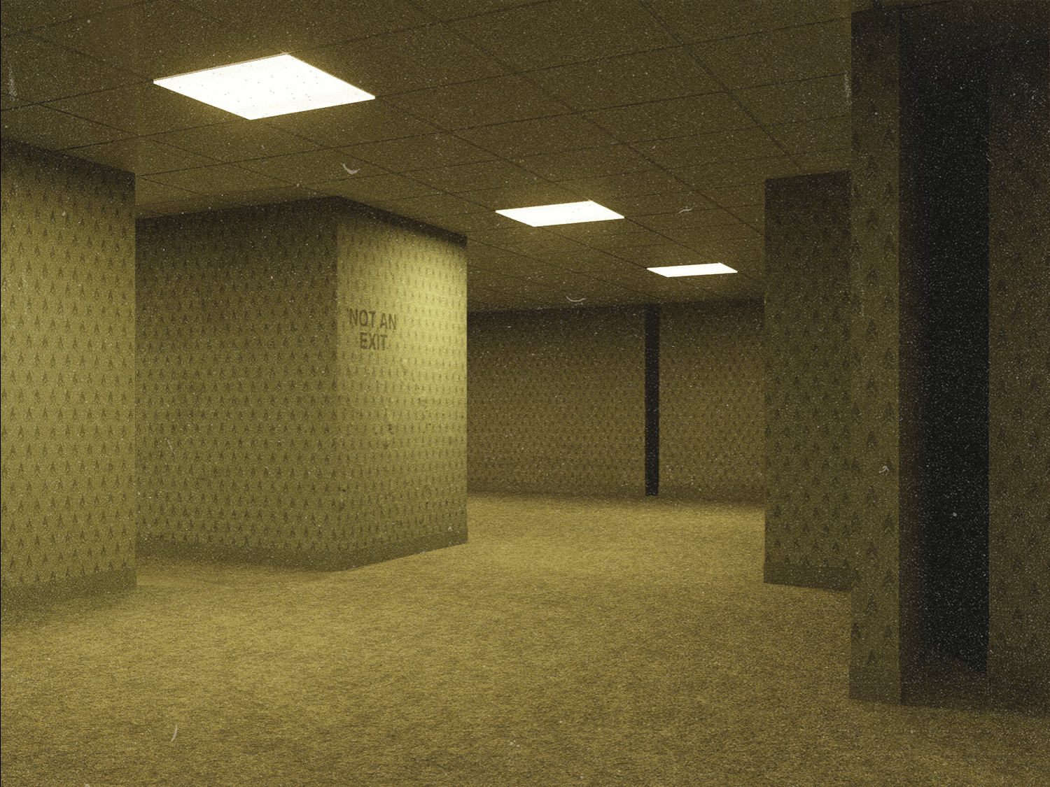 Backrooms Level 0 #27 static token preview