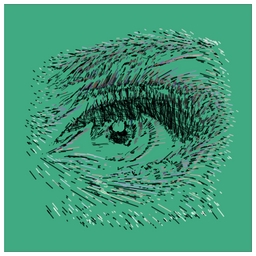Vector Drawing Eyes A_ project preview